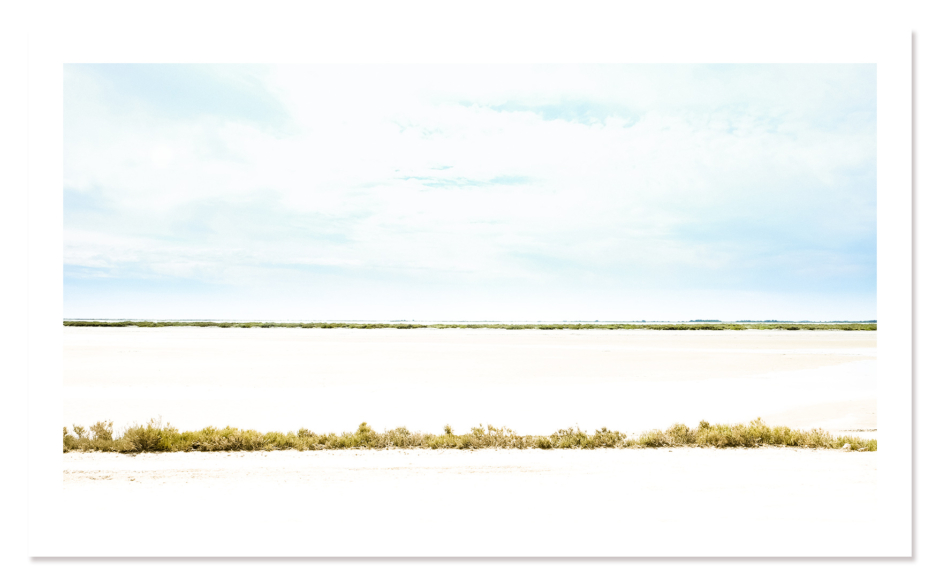 Camargue #1